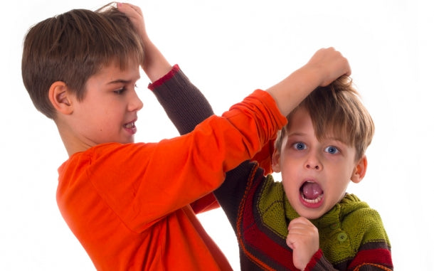 The Art of Managing Sibling Rivalry